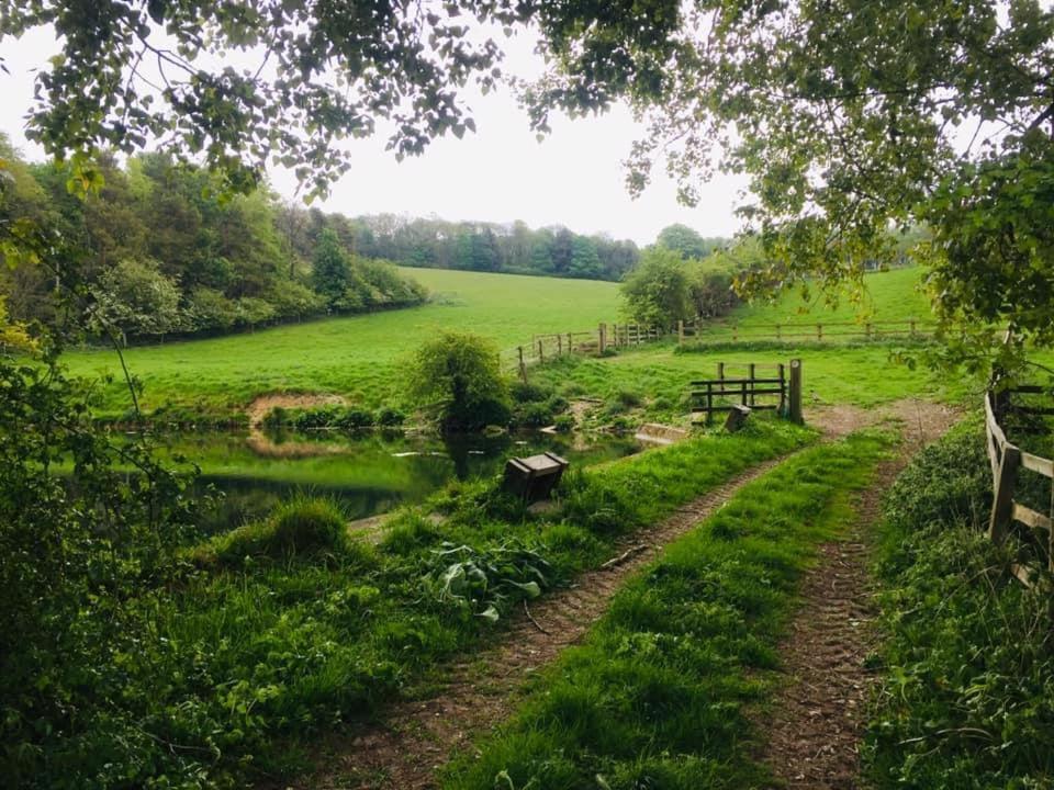 Holly Cottage, Hidden Gem In The Yorkshire Wolds Welton  Exteriér fotografie